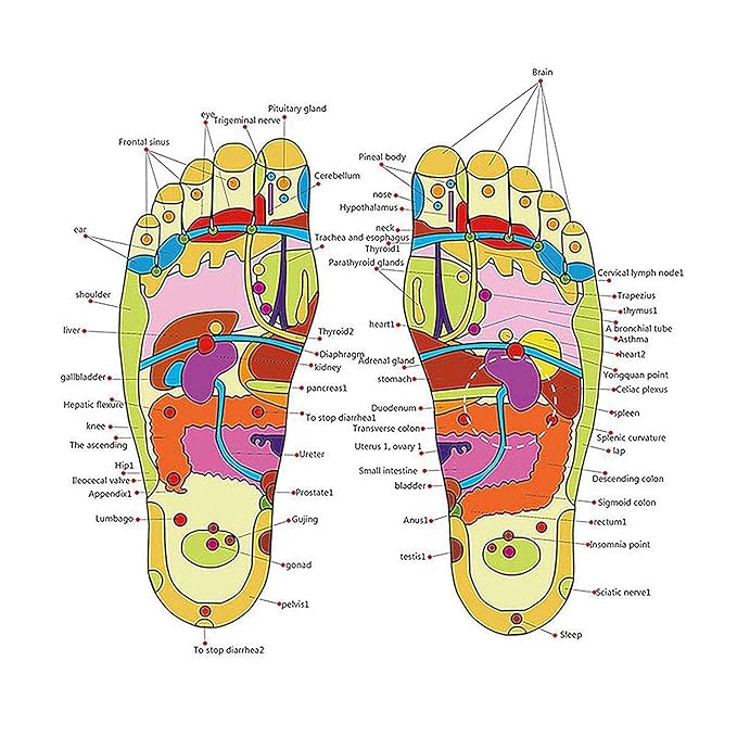 Slippers Foot Massager (Unisex)