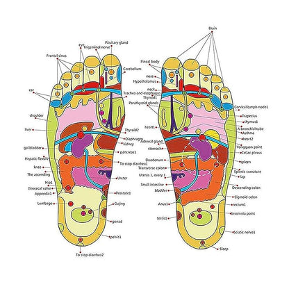 Slippers Foot Massager (Unisex)